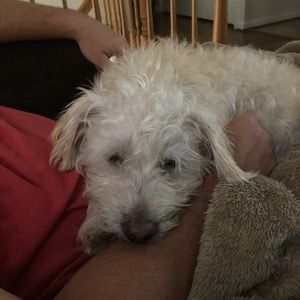 Meet your Posher, Kaitlyn